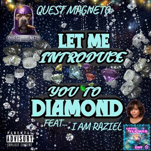 Introduce You to Diamond