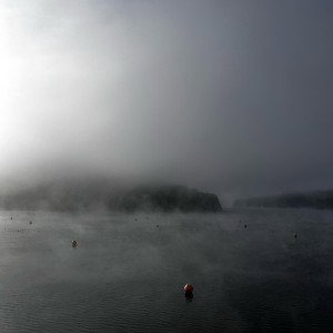 la brume 