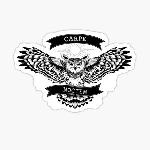 No Hoots freestyle 🦉😈😆