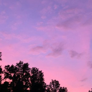 Dark Nights (Freestyle)
