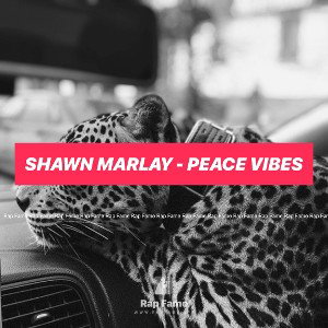 Shawn Marlay - Peace Vibes