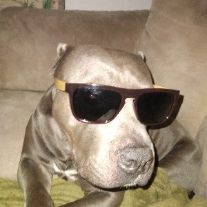 Kali & A Wall- What Would You Do