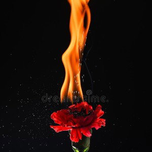 HAMZA_-_TRISTE_HISTOIR__-__dark__dream__