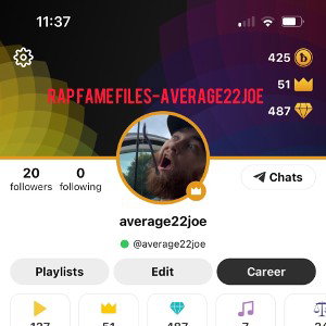 Organize// Average Joe 