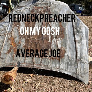 Oh My Gosh  Average Joe  1.am Take