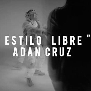 Estilo Libre 
