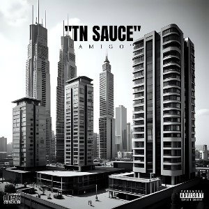 AMIGO - TN SAUCE 