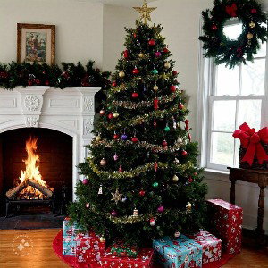 XXXYRICAL SUNSET -XS- MERRY CHRISTMAS 🎄🎄⛄
