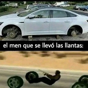 MUI pola