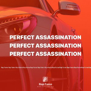 Perfect Assassination 