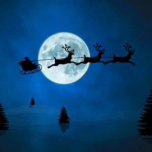 HOLIDAY🎅🏼