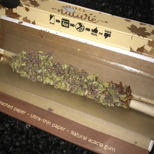 Bongs 