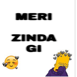 MERI ZINDAGI