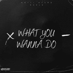 what you wanna do by Da _Plague 