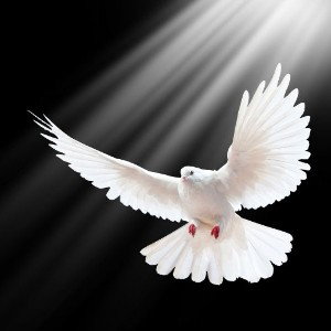 Living Soul 