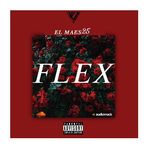 El Maes25 Flex