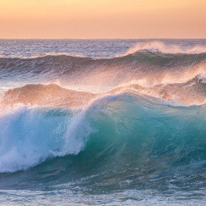 SURF