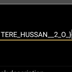 TERE_HUSSAN__2_O_}