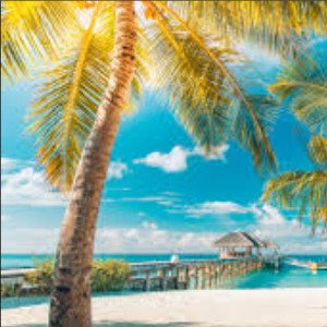 paradise