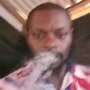 lyrically inclined / sample
