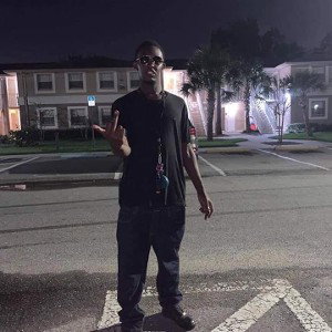 8136 FREESTYLE 