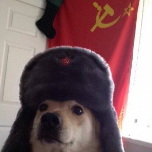 что за?