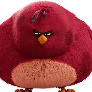 Biggest Bird