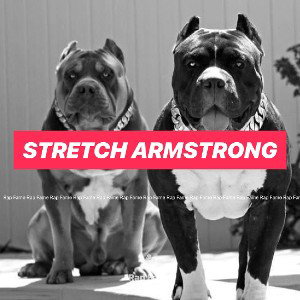 Stretch Armstrong 