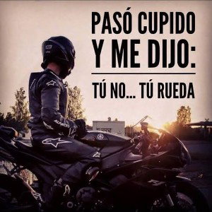 CEREZ POETA VOMITANDO TUS TE AMO