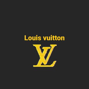 Louis  vuitton