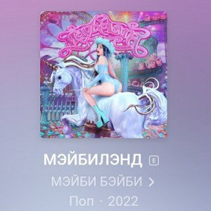 sH1pu4Ka!