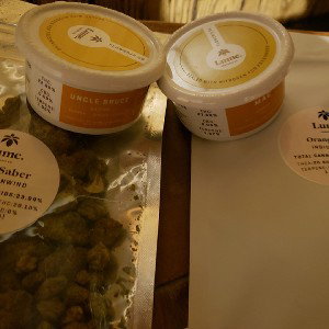 Blowin_ Bud