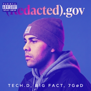(redacted).gov (Slowed + Reverb)