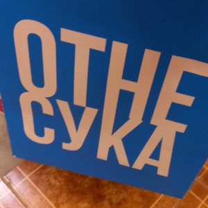 Диз на чеславцев