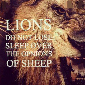 🔥Sheep < Lion🔥