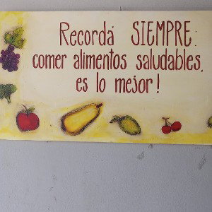 los alimentos 