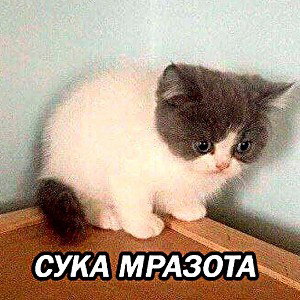 Ничтожен