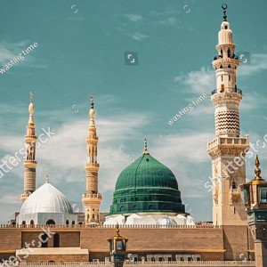 Roza