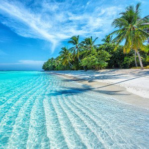 let's go on holiday song 