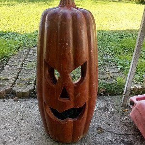 trick or treat 