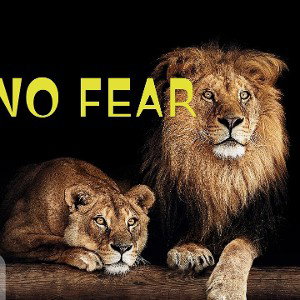 NO FEAR