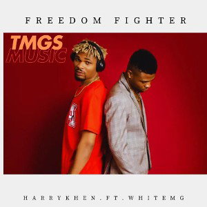 Freedom Fighter by Harrykhen_ft_whitemg 