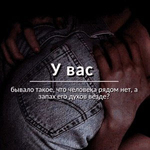 Новичок 
