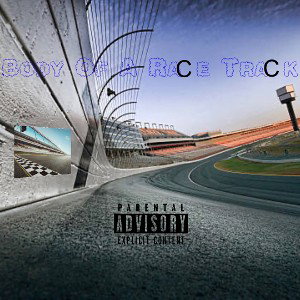 Body of a race track