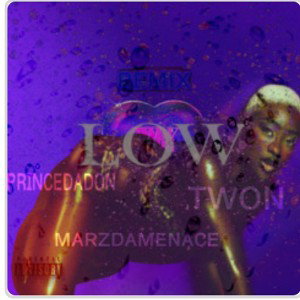 PrinceDaDonnn - Low (Remix) Ft MarzDaMenace , Babygates   Low extend version 