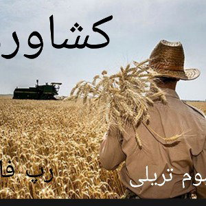 کشاورز