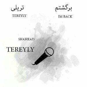 برگشتم 