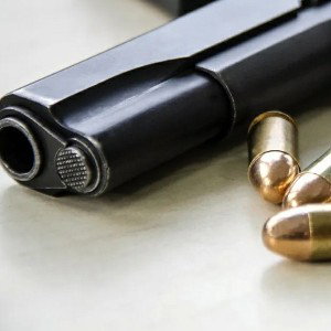how to work a gun