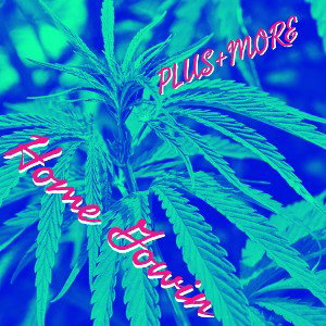 HOME GROWIN 