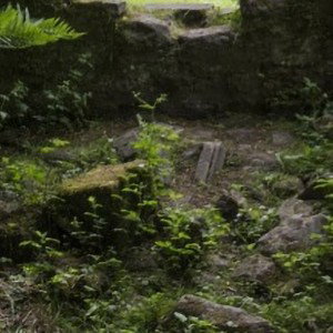 Where The Bodies Lie